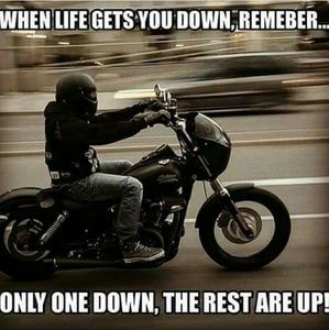 Meet your Posher, George